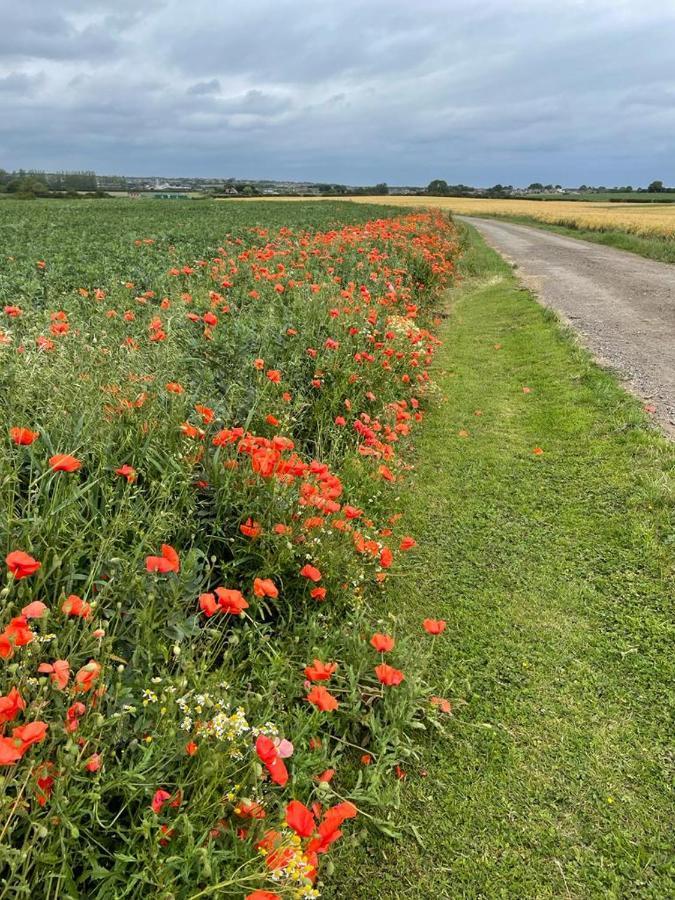 Roe Deer Meadow At Carr House Farm Hotel Scarborough Exterior foto