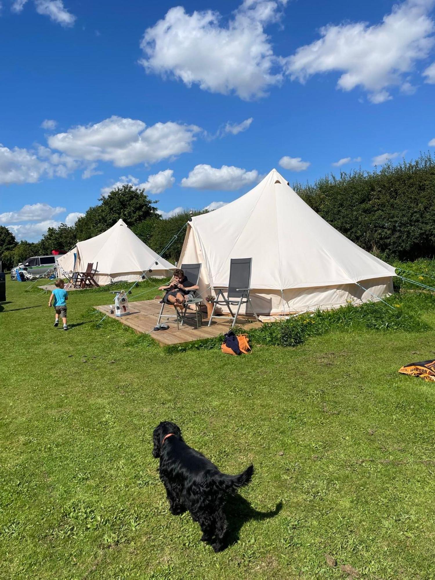 Roe Deer Meadow At Carr House Farm Hotel Scarborough Exterior foto